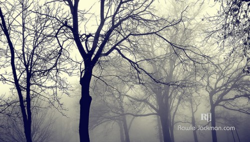 12187595703_0343c160ec_z