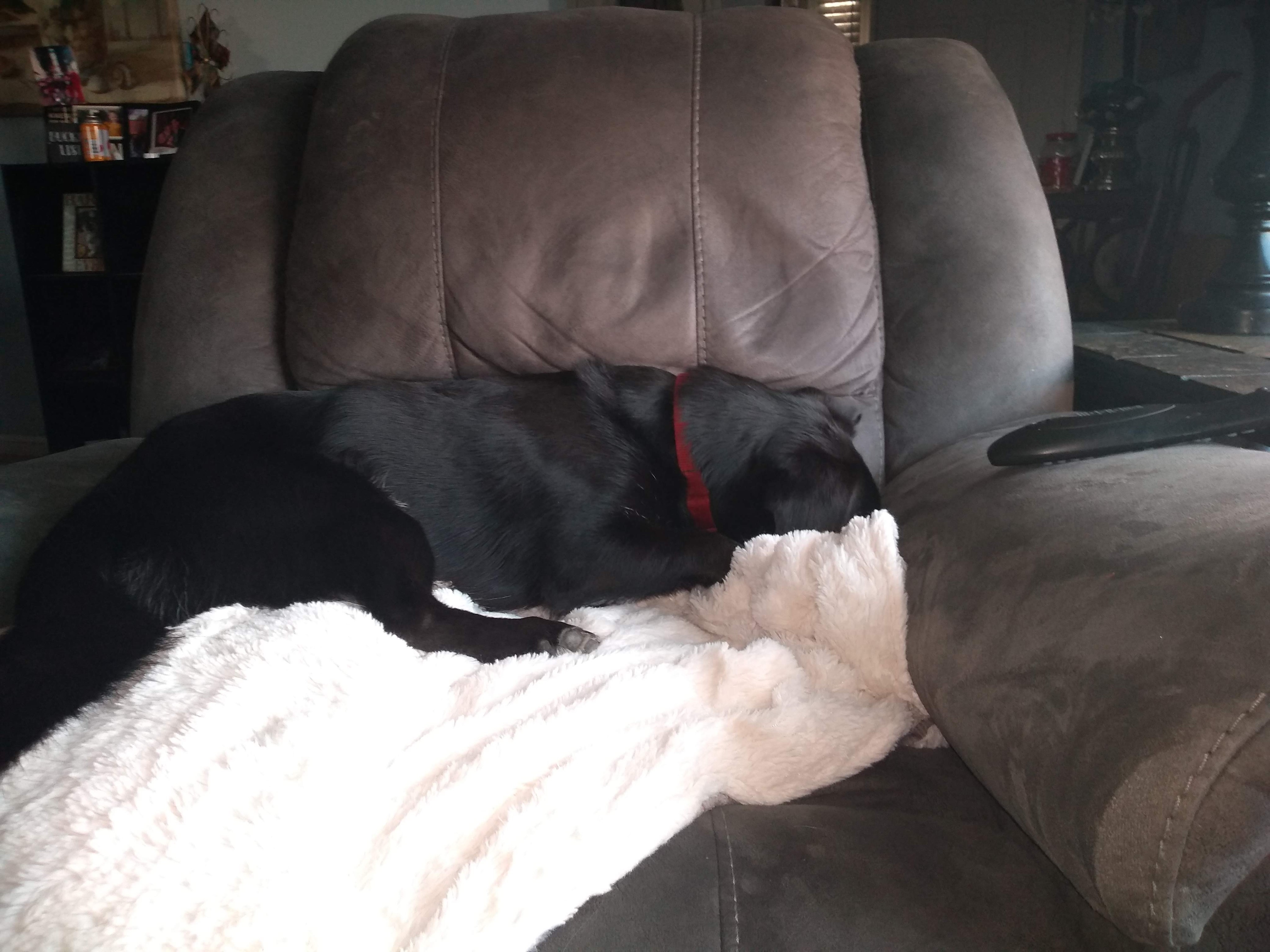 img_20190809_192034450