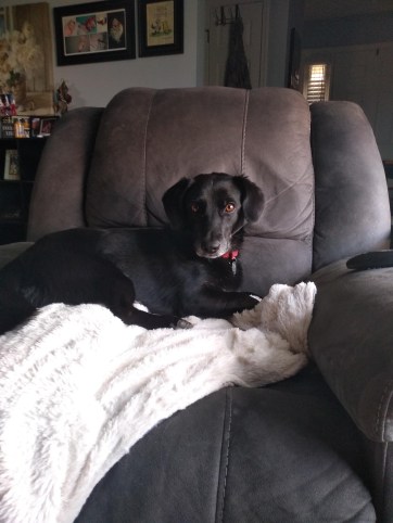 img_20190809_192052803