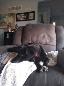 img_20190809_192106022